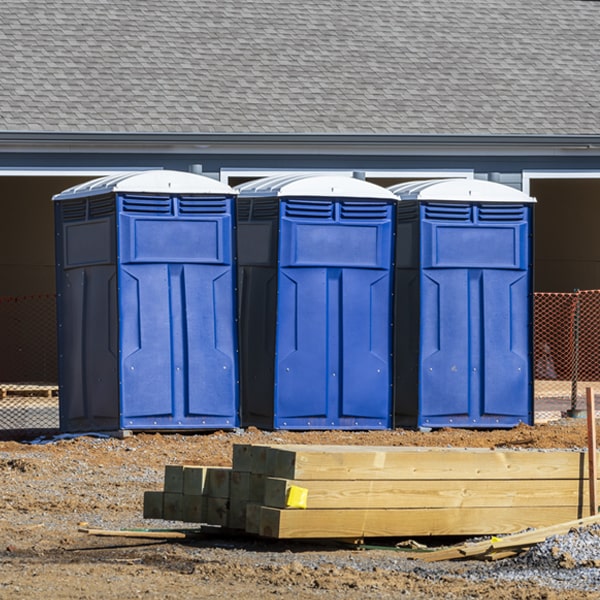 can i customize the exterior of the porta potties with my event logo or branding in Bird City